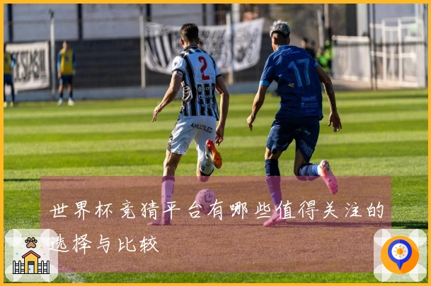 世界杯竞猜平台有哪些值得关注的选择与比较