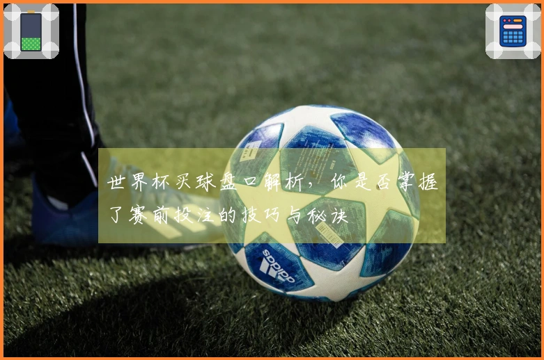 世界杯买球盘口解析,你是否掌握了赛前投注的技巧与秘诀