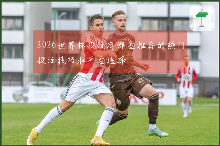 2026世界杯投注有哪些推荐的热门投注技巧和平台选择