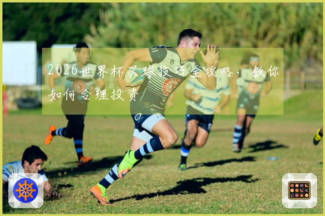 2026世界杯买球技巧全攻略，教你如何合理投资