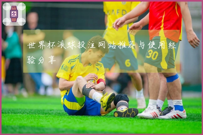 世界杯滚球投注网站推荐与使用经验分享