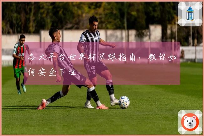 各大平台世界杯买球指南，教你如何安全下注